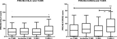 The number of donor HLA-derived T cell epitopes available for indirect antigen presentation determines the risk for vascular rejection after kidney transplantation